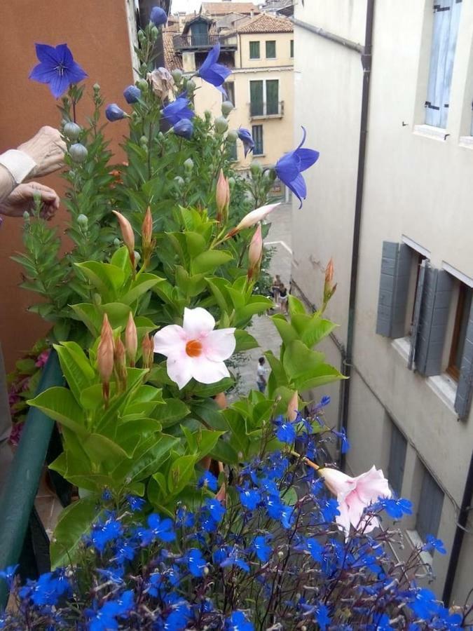 Apartamento Ca' San Silvestro Venecia Exterior foto